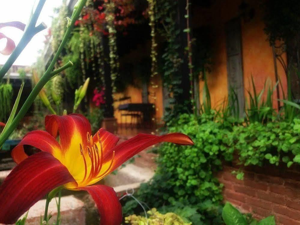 Hotel Eterna Primavera Antigua Ngoại thất bức ảnh