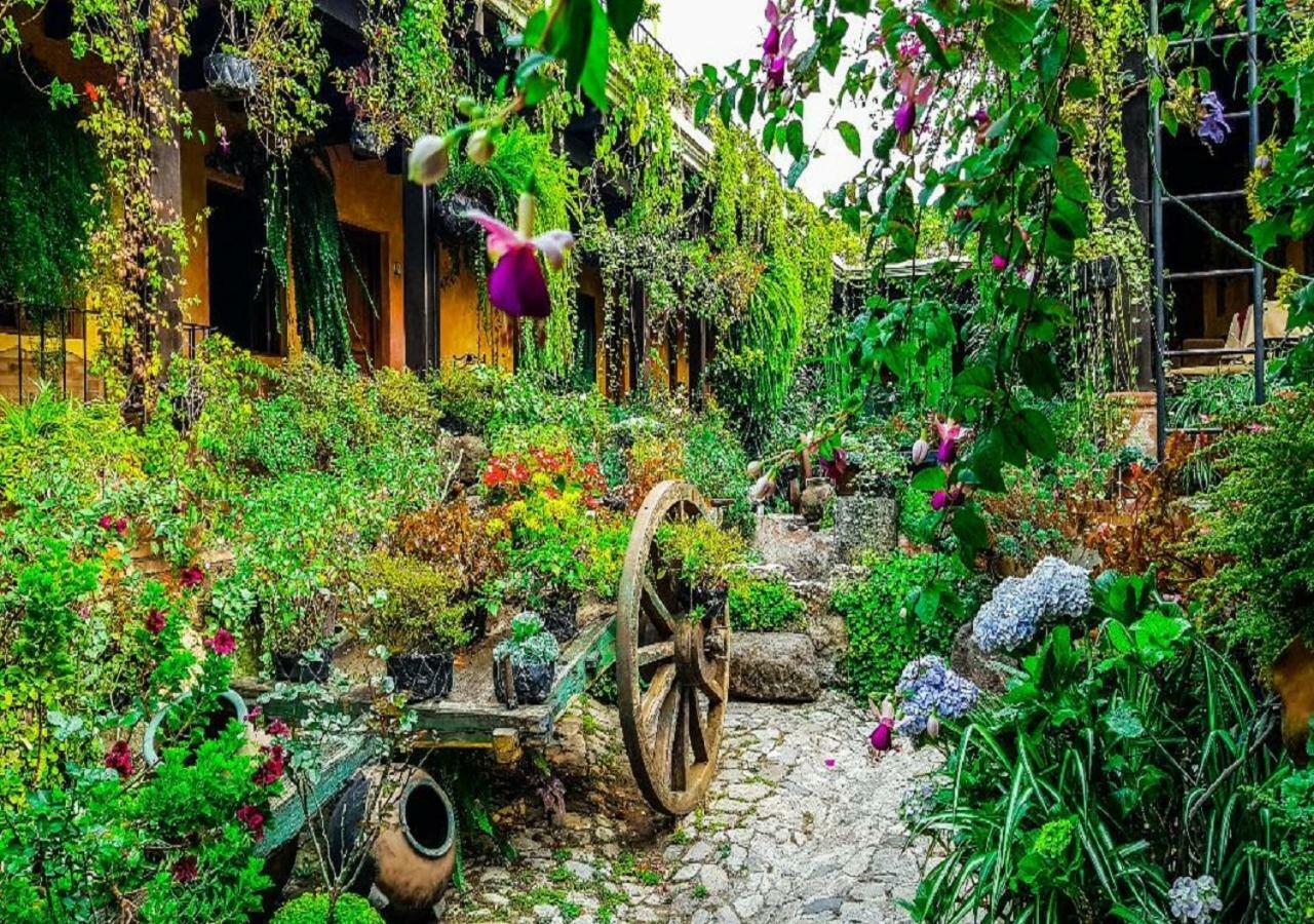 Hotel Eterna Primavera Antigua Ngoại thất bức ảnh